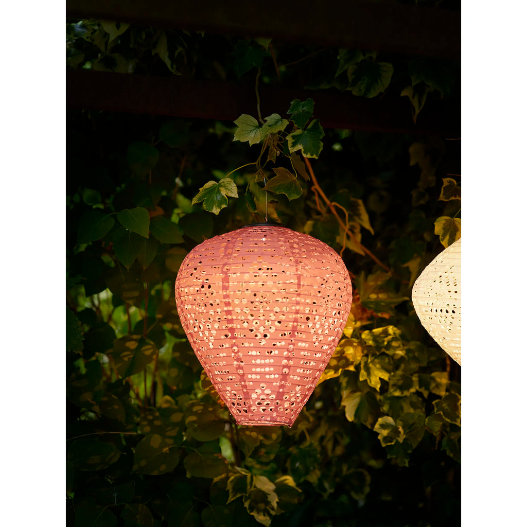 Greatham LED-lykta – solcellslykta i rosa