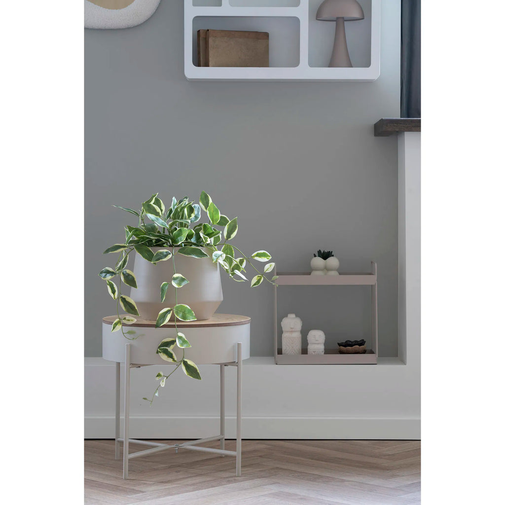 Hoya carnosa konstväxt – grön