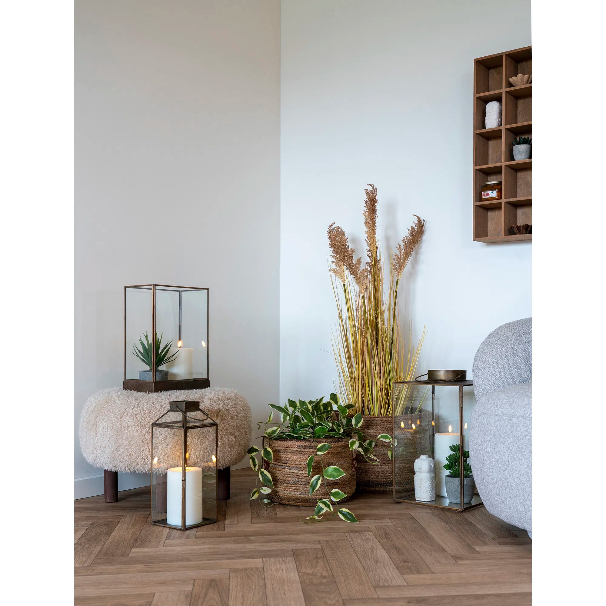 Hoya carnosa konstväxt – grön