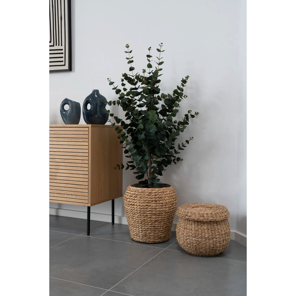 Eukalyptus konstväxt – grön