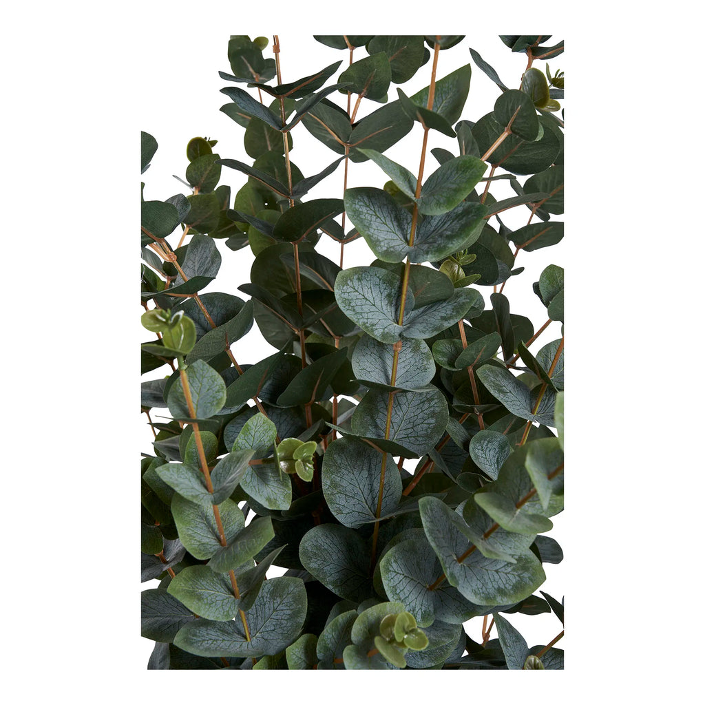 Eukalyptus konstväxt – grön