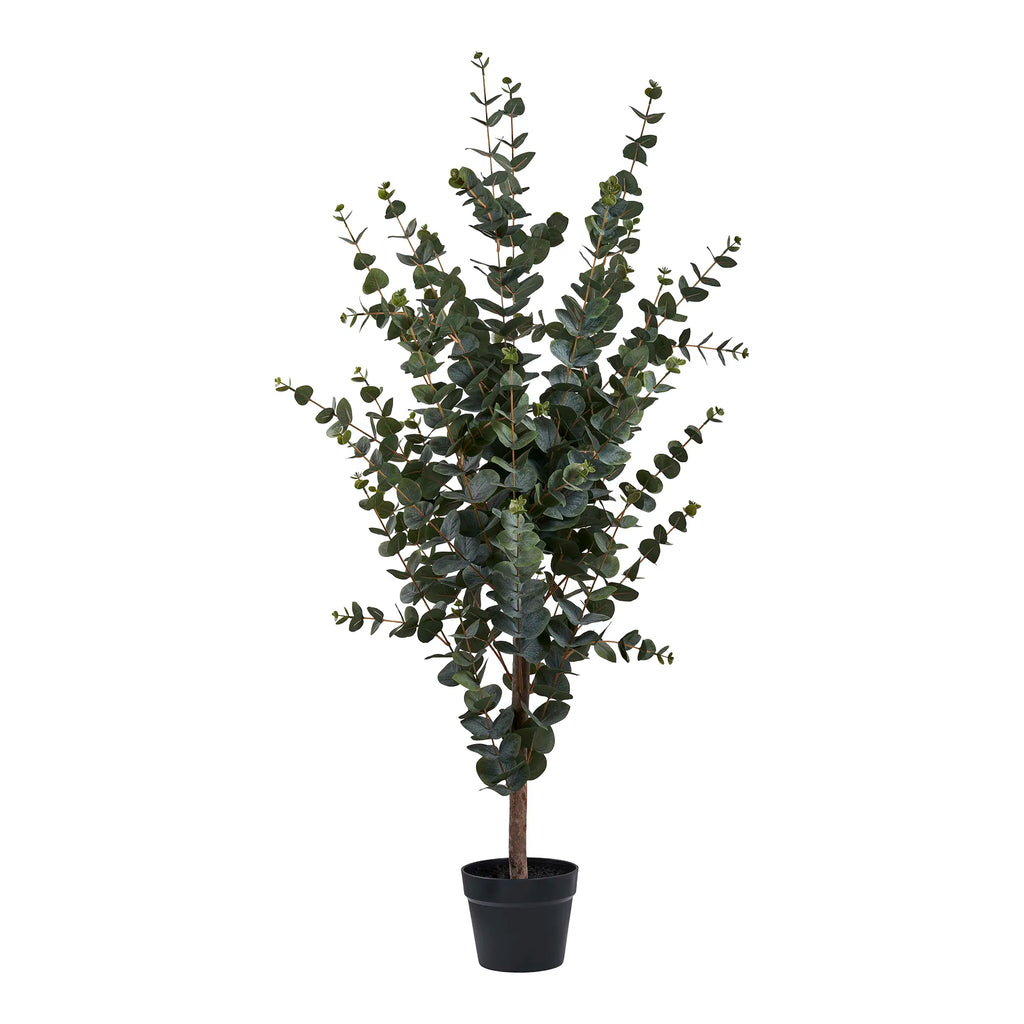 Eukalyptus konstväxt – grön