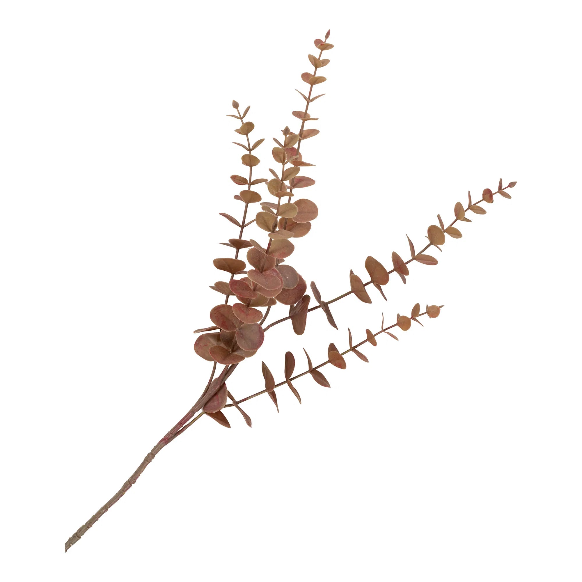 King protea bukett – konstblommor