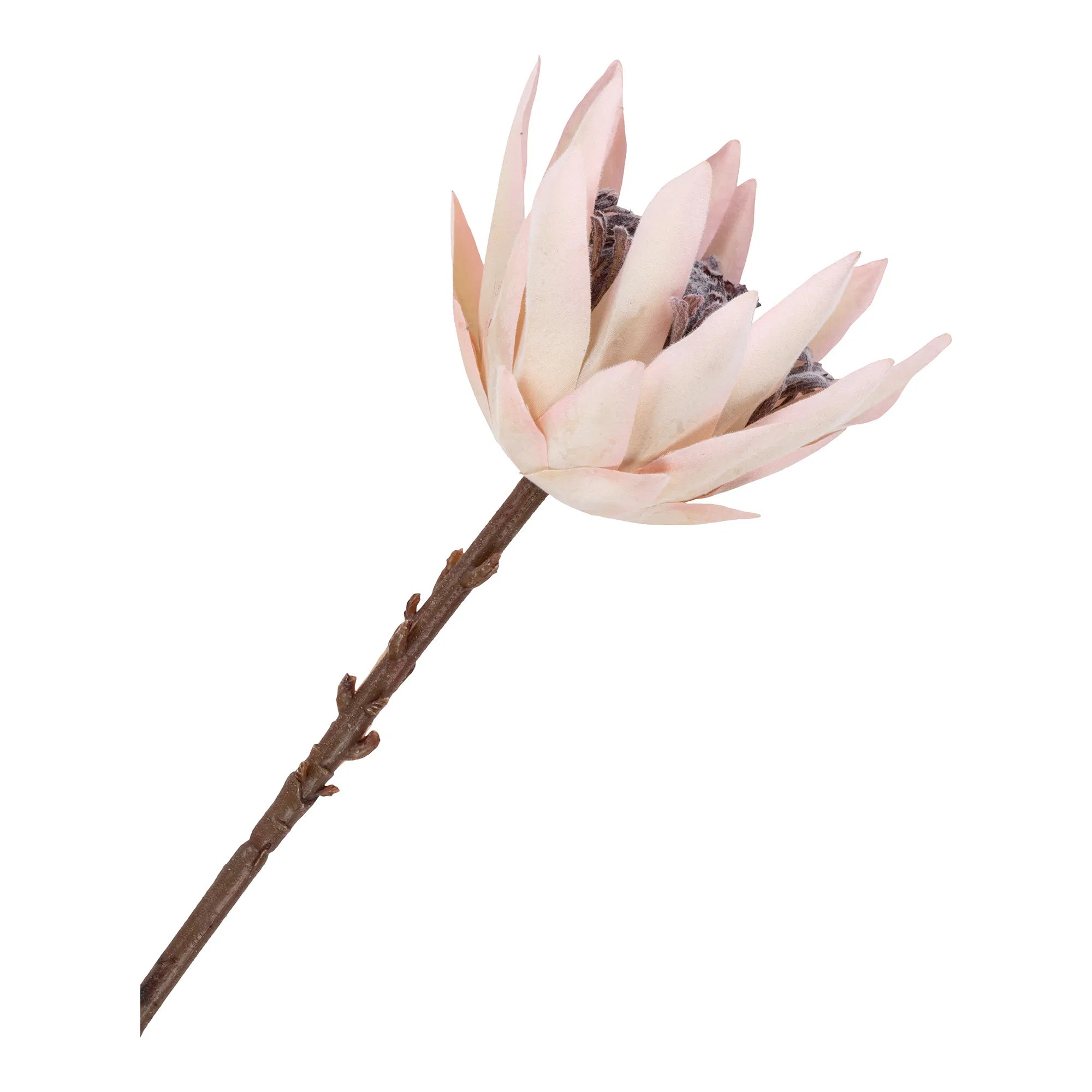 King protea bukett – konstblommor