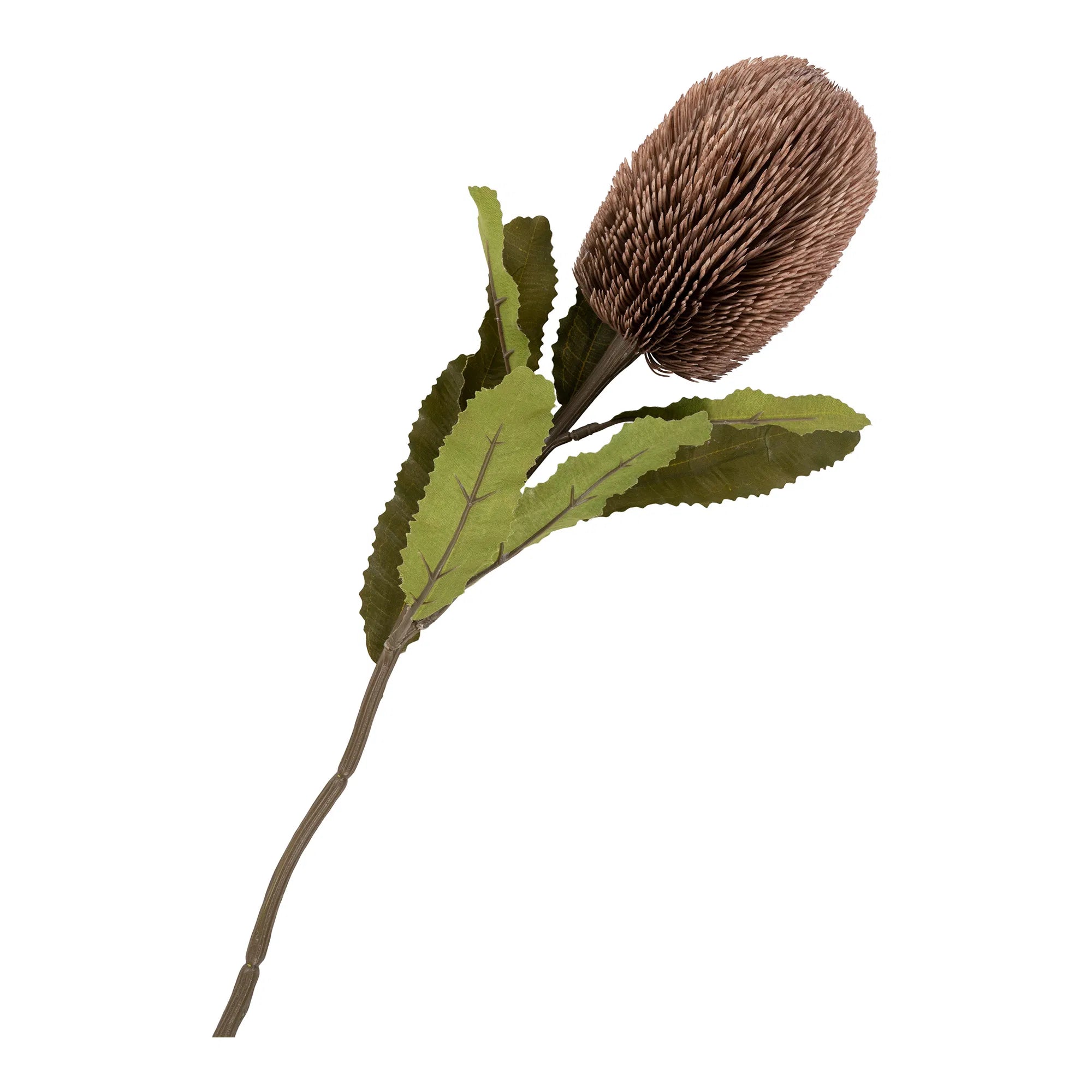 King protea bukett – konstblommor